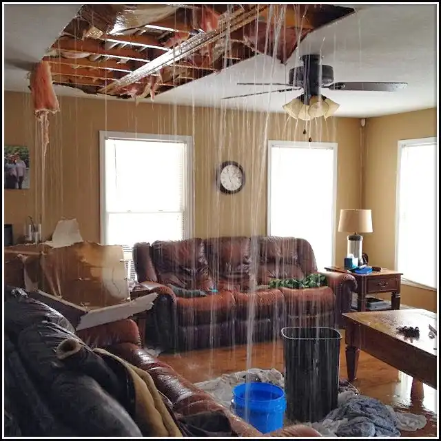 Water Damage Restoration services in Thompson's Station, TN