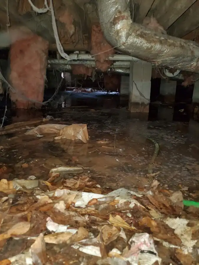 Crawl space flood assessment for Leak Detection & Repair in Thompson's Station